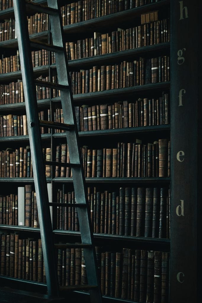 Section of the Bodleian library, with a ladder in front of book shelves.