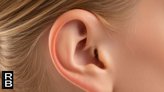 A human ear.