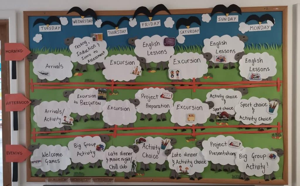Panel with summer school information displayed on sheep-shaped laminated pieces of paper.
