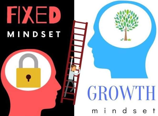 On the left hand side, a man's red head with a lock inside it, suggesting a fixed mindset. On the righ hand side, another man's blue head, with a tree inside it, suggesting a growth mindset.