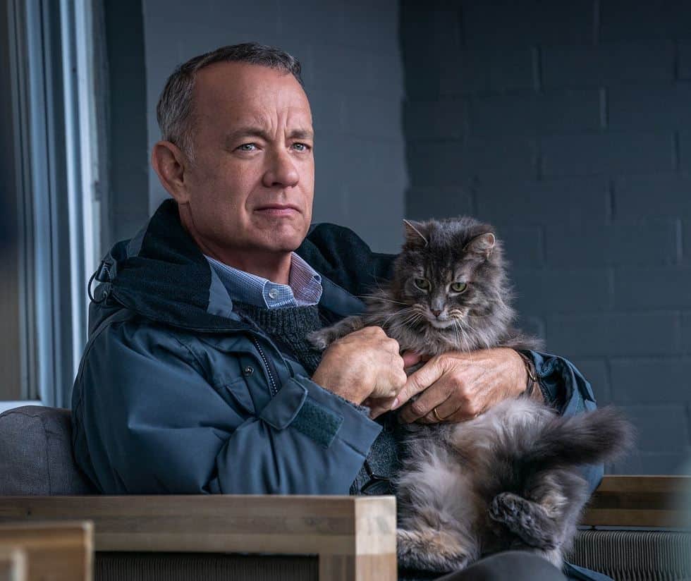 Tom Hanls holding a cat while sitting in a chair, as in the movie "A Man Called Otto."